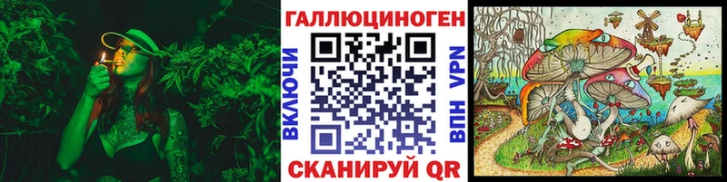 где купить   Сердобск  Галлюциногенные грибы прущие грибы 